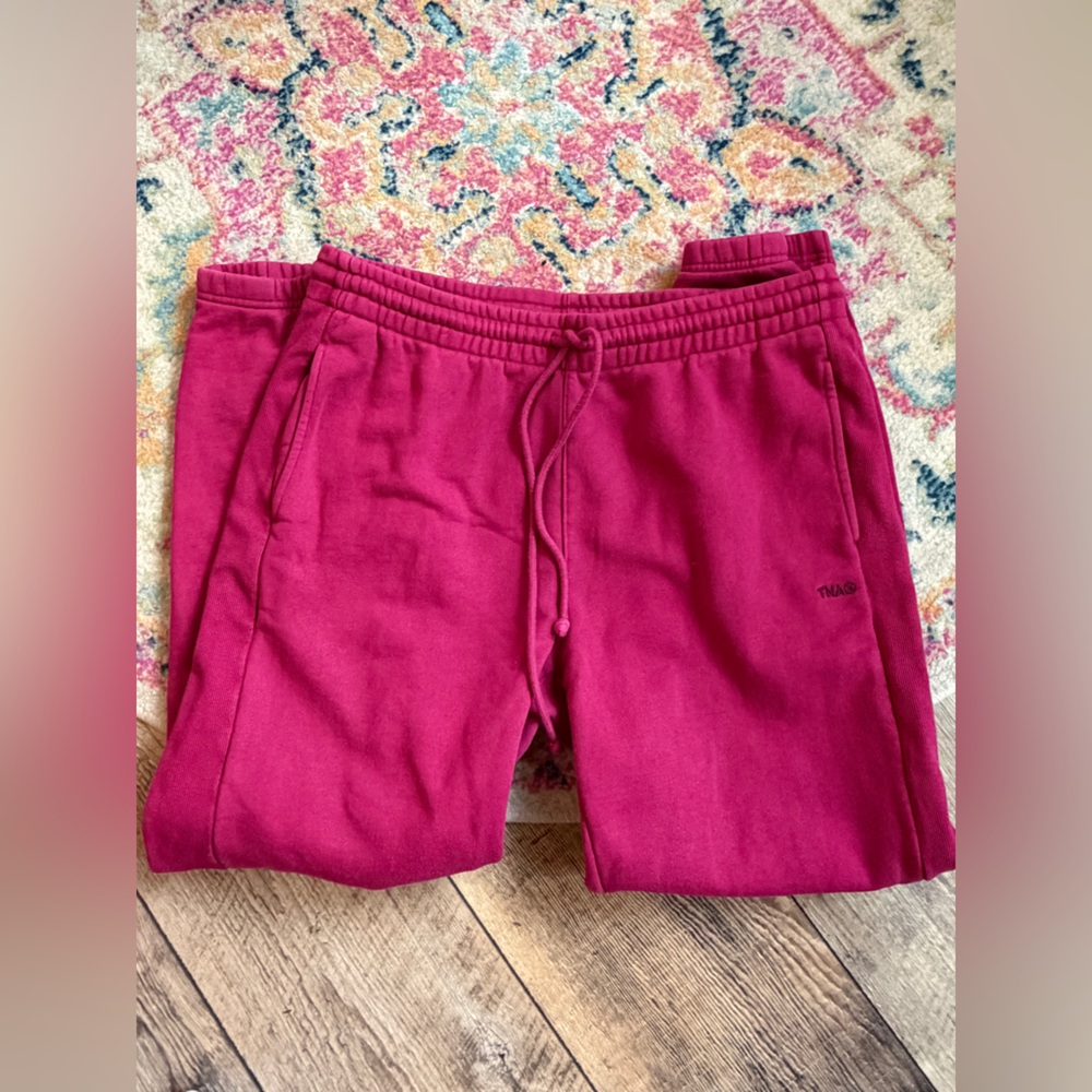 Aritzia sweatpants